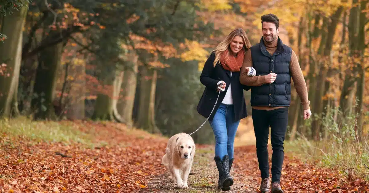 Start the Holidays with Vein Health in Mind
